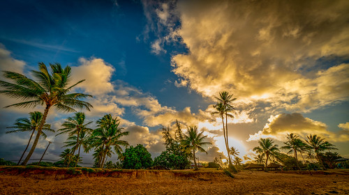 hawaii poipu beach kauai sunrise palm sand clouds