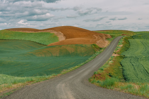 lamont washington unitedstates us palouse drive road gravel landscape
