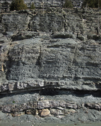 shale limestone bioherm biohermal mound mouds fort payne formation osagean mississippian burkesville kentucky