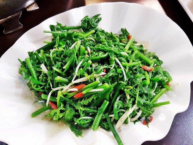 Guo Mao Vegetable Fern