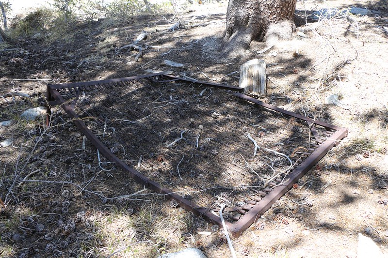 The old Bed Springs themselves at the old encampment site