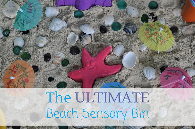 The Ultimate Beach Sensory Bin