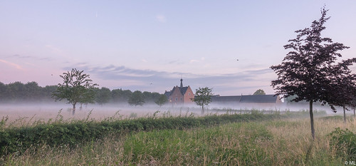 misty morning landscape nature abbey