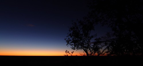 Starlight's Sunset