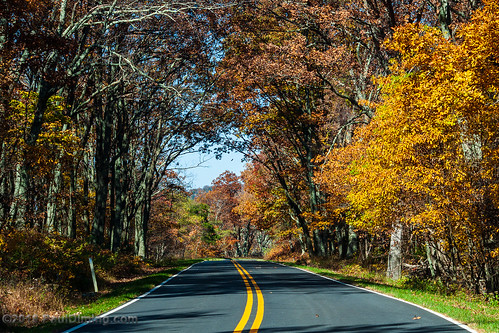 grottoesvirginia landscape drive grottoes shenandoahnationalpark fall shenandoah blueridge virginia highway dailyphoto scenicdrive skylinedrive road pauldiming snp foliage d5000 blueridgemountains unitedstates us