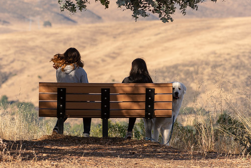 santateresacountypark dog view bench sanjose california unitedstates us
