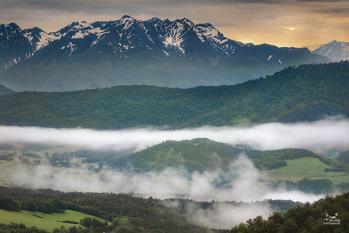 france clelles landscape fog mist mountain sunrise travel isère forest tripadvisor nikon d500 beautifullight