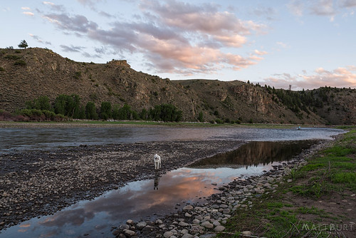 cooperwest dog canyon clouds gunnisonriver luna reflection sunset water
