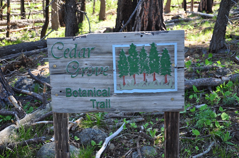 Cedar Grove Botanical Area