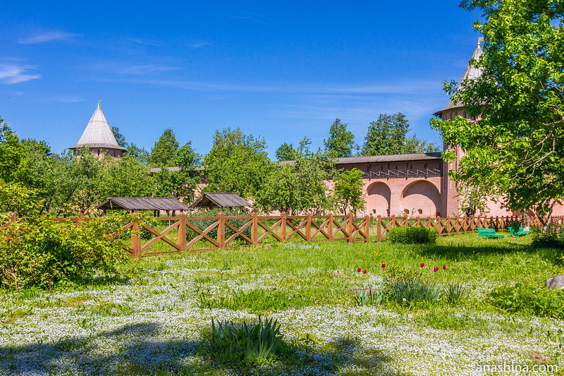 Фруктовый сад, Спасо-Евфимиев монастырь, Суздаль