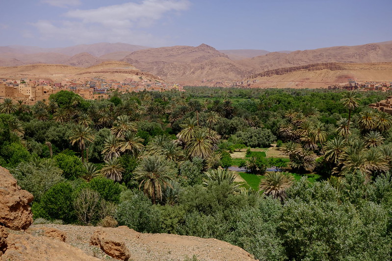 Tinejdad, El Krobat, Tinghir, Gargantas del Todra y del Dadès. - Marruecos: Mil kasbahs y mil colores. De Marrakech al desierto. (15)