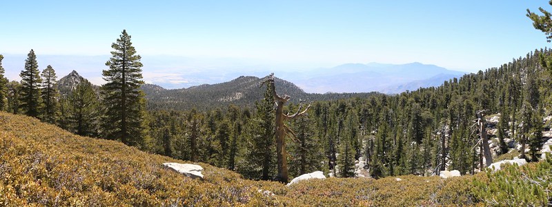 Panorama shot from the unmaintained Tamarack Trail