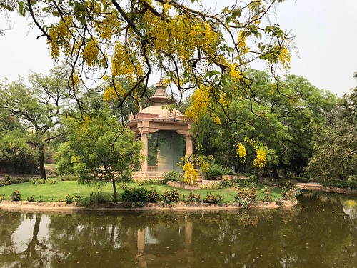 City Hangout - Buddha's Pond, Buddha Garden