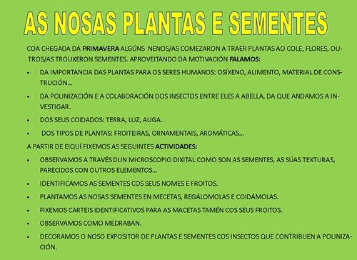 AS NOSAS SEMENTES E PLANTAS. 4 ANOSA