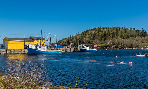 canada canon canondslr canoneos7dmarkii dslr landscape lighthouseroute may northwestcove novascotia cove daytime fishing fishingboat ocean outdoor pier spring wharf