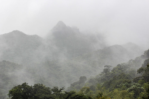 mountains puertorico caribbean fog nature