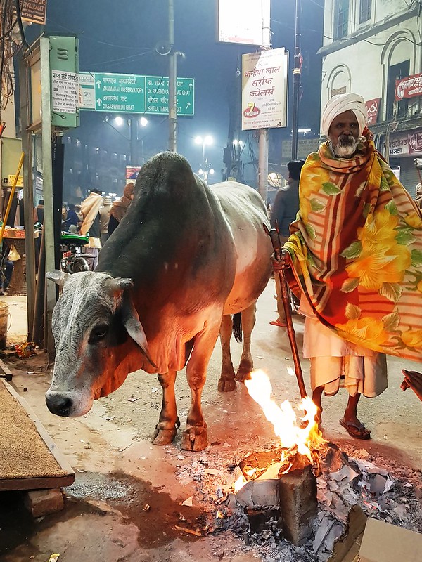 Рассказ о зимнем путешествии по Индии 2018