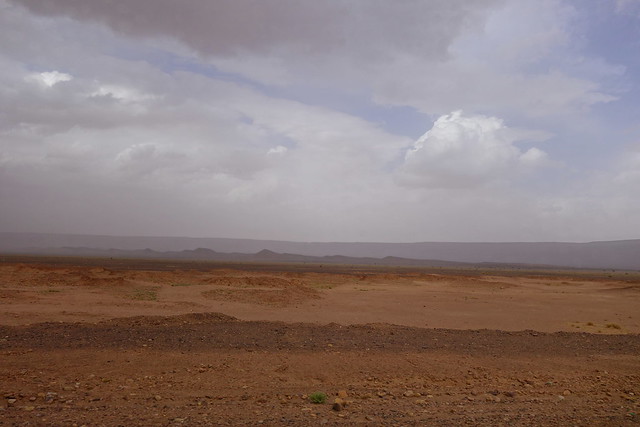 Nasrat - Tagounite por pista -Tzi n'Selmane - Erg El Ihoudi por pista - Bon - Marruecos: Mil kasbahs y mil colores. De Marrakech al desierto. (40)
