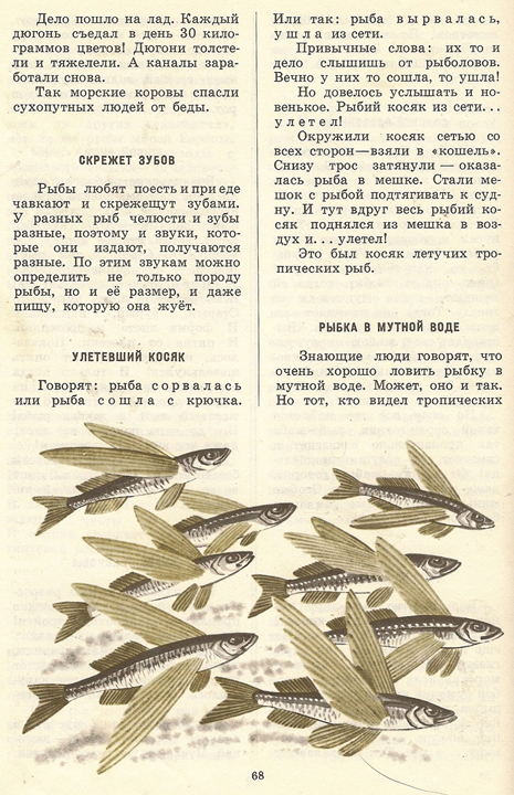 Текст ловли билли. Рыба текст. О чем говорят рыбы. Сладков рассказ рыбы читать.