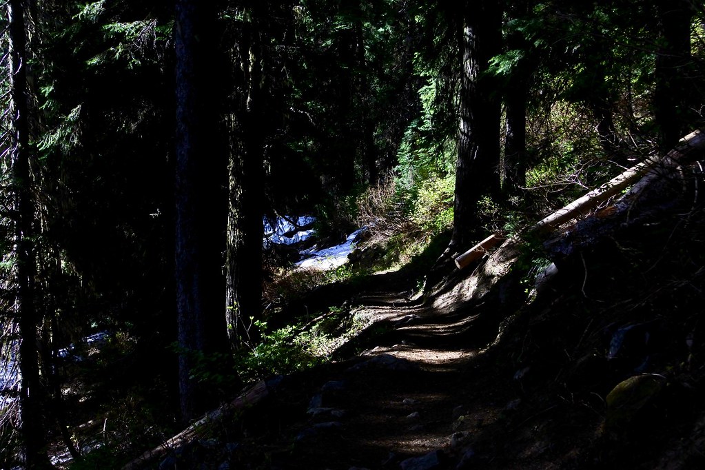 Revett Lake trail