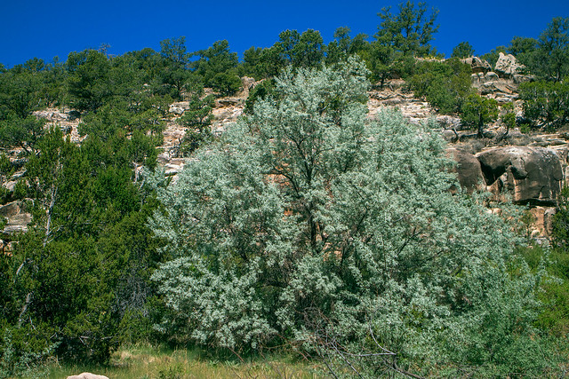 Bluewater-Canyon-14-7D1-052318