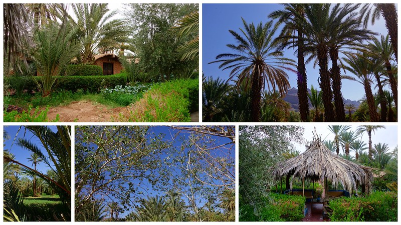 Por Ait Benhadou, Valle del OUnila, Kasbahs Tamdaght y Telouet, Puerto Tichka - Marruecos: Mil kasbahs y mil colores. De Marrakech al desierto. (1)