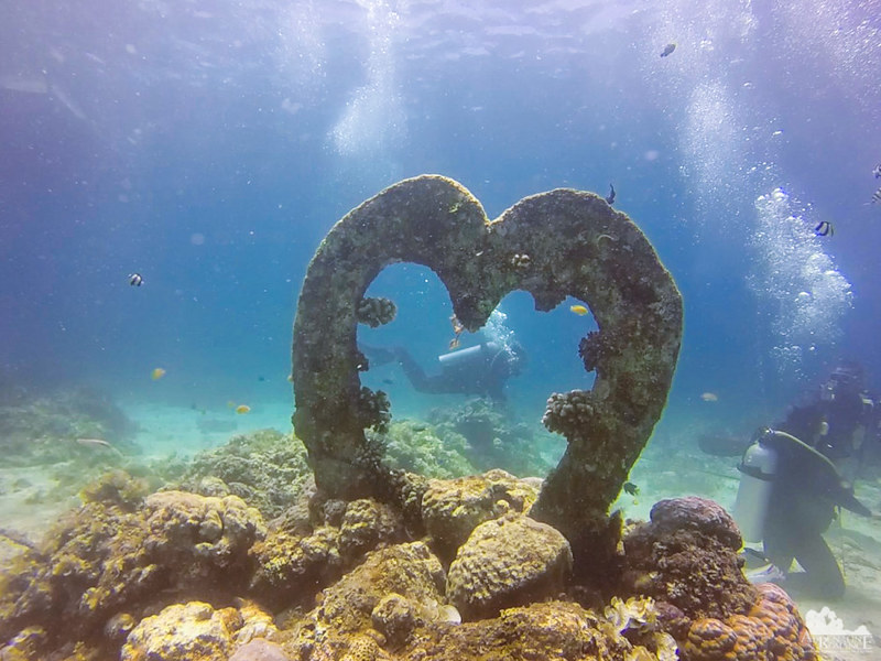 Diving is love