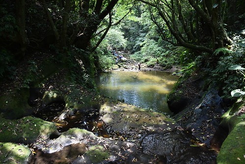 望古賞瀑步道-第二層瀑布