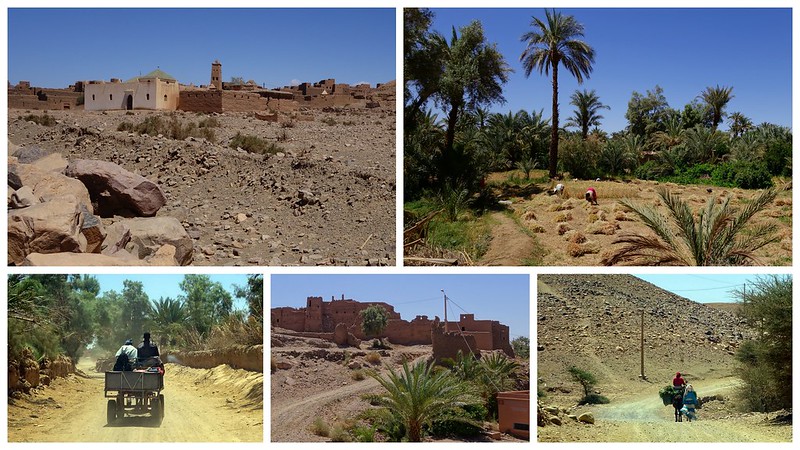 Valle del Draa por pista, Zagora, Dunas de Ait Isfoul. - Marruecos: Mil kasbahs y mil colores. De Marrakech al desierto. (21)