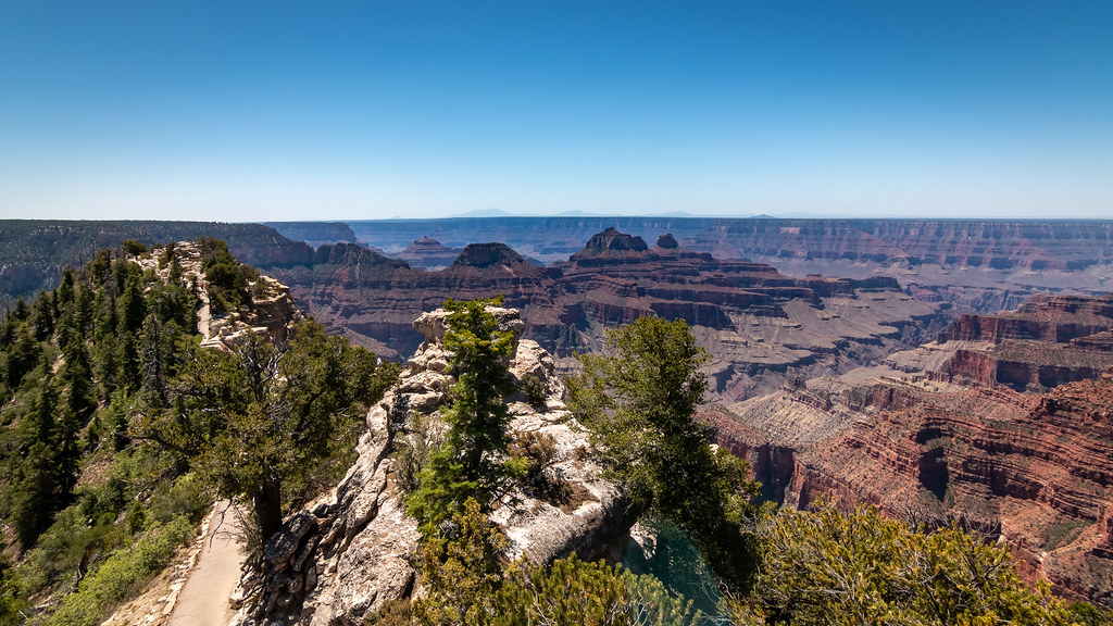 Grand Canyon - Arizona - [USA]