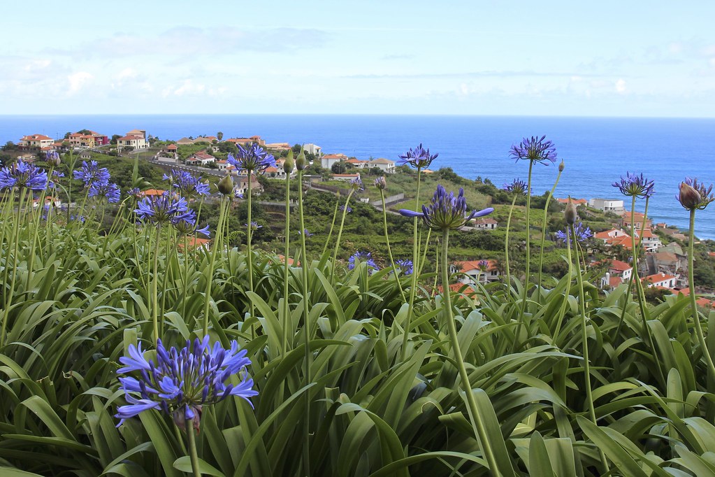 Madeiran eteläpuoli