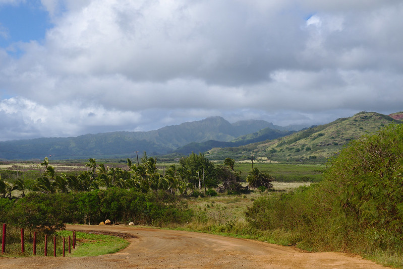 Road from Makauwahi Cave