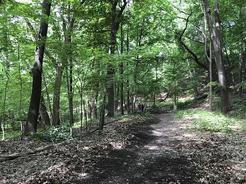 Trail Clean Up Project at Prospect Park