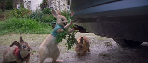 Peter Rabbit - screenshot 6