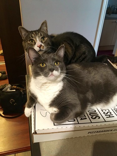 Watson & Crick on a pizza box