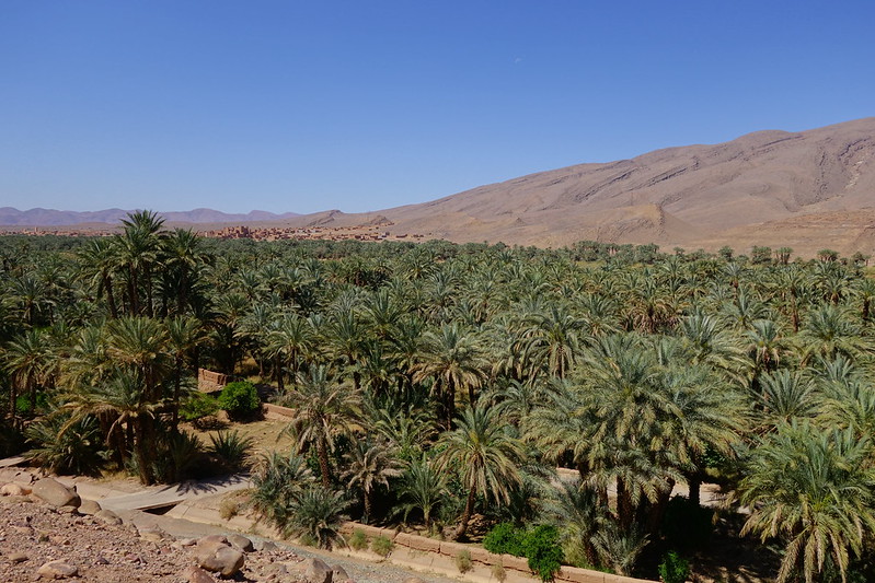 Valle del Draa por pista, Zagora, Dunas de Ait Isfoul. - Marruecos: Mil kasbahs y mil colores. De Marrakech al desierto. (17)