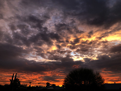 arizona sunset winter sky cloud outdoor dusk serene field landscape bright skyline tree grass sun city west colorful color tonight monsoon weather clouds summer fall silhouette colros sunshower shower backyard nikon cactus hardtosee bombcyclone