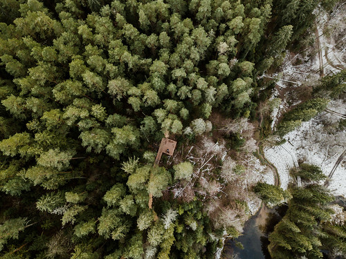 dji mavic pro aerial photography latvia forest winter snow summer lake greenery from above