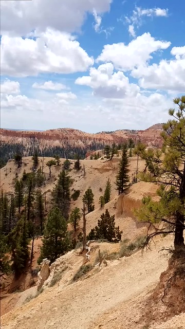Bryce Canyon panoramic videos