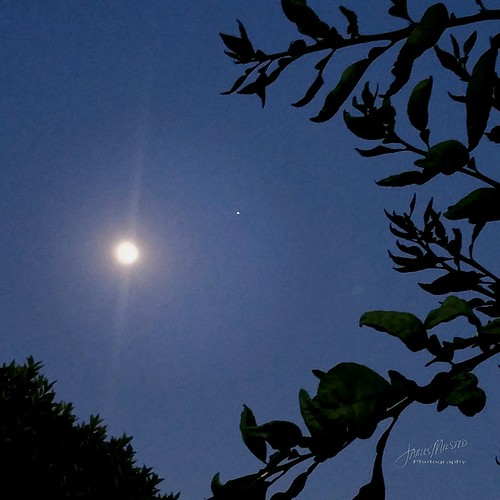 luna moon jupiter nature grapefruit