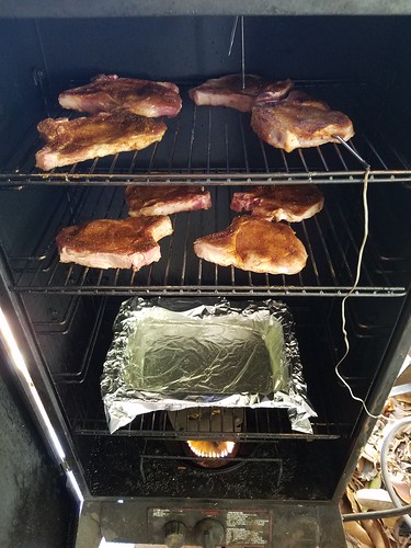 dry rub thin cut pork chops over hickory chips. 225 deg F and maybe an hour....it will be eatin' time