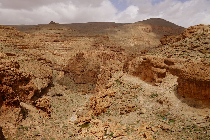 Marruecos: Mil kasbahs y mil colores. De Marrakech al desierto. - Blogs de Marruecos - Imilchil, Lago Tislit, Agoudal, Cueva de Akhiam, Gargantas de Amellado. (23)