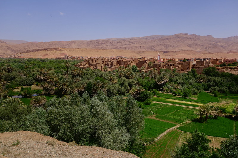 Marruecos: Mil kasbahs y mil colores. De Marrakech al desierto. - Blogs de Marruecos - Tinejdad, El Krobat, Tinghir, Gargantas del Todra y del Dadès. (16)