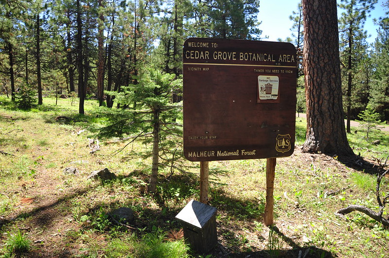 Cedar Grove Botanical Area