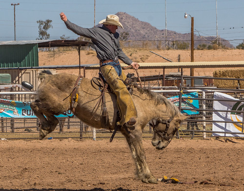 2018 arizona casagrande cowboys horses rodeo outdoors unitedstates us