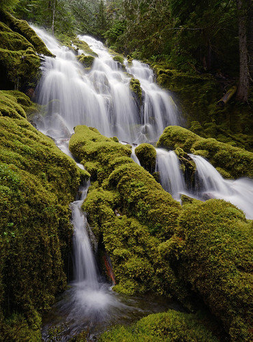 oregon proxy proxyfalls nature nikond7000 waterfalls waterflow watermotion longexposure green moss mosscovered landscape