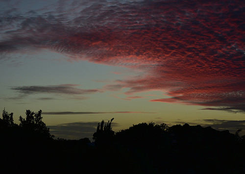 sunset redsunset dusk tamronsp2470mmf28divcusd redclouds nikond7200 twilight trees sky palmtrees bundaberg queensland australia sliderssunday bluesky landscape hss