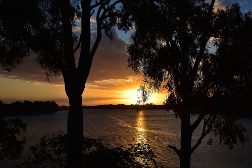 sunset goldensunset tamronsp2470mmf28divcusd goldenhour gumtrees nikond7200 twilight dusk water clouds bluesky bundaberg queensland australia burnettriver mangrovetree reflections landscape