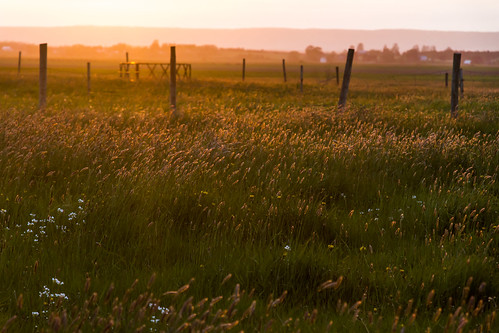canada canon70d field hortonville novascotia pasture sunset fence outdoors