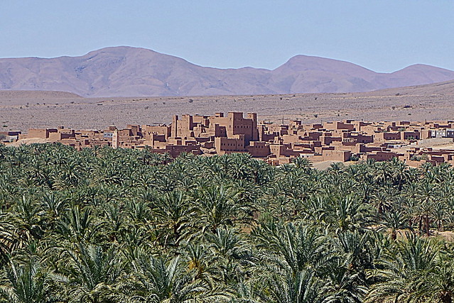 Valle del Draa por pista, Zagora, Dunas de Ait Isfoul. - Marruecos: Mil kasbahs y mil colores. De Marrakech al desierto. (23)